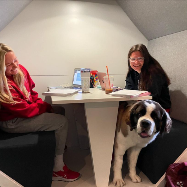Two girls study at a booth table, while a St. Bernard dog looks at the camera from under the table